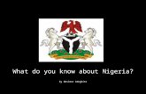 What do you know about Nigeria? by Nosimot Adegbite.