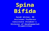 Spina Bifida Sarah Winter, MD Assistant Professor Cincinnati Children’s Division of Developmental Disabilities.
