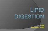 ECDA September 2009. LIPID DIGESTION  Lipids in the diet are most commonly triglycerides or neutral fats found in both animals and plants. Cholesterols.