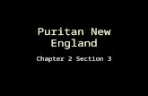 Puritan New England Chapter 2 Section 3. Puritans Create a “New England” A different group of English people settled north of Jamestown. They were members.