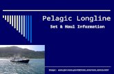 Pelagic Longline Set & Haul Information Image: .