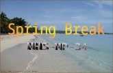 Http://. Things to do on Spring Break  During the Spring.