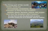 The living part of the world Similar words are environments, ecosystems, biomes Examples of things in the biosphere Animals, plants, bacteria, insects,