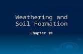 Weathering and Soil Formation Chapter 10. Mechanical Weathering Section 1   Ice: The alternate freezing and thawing of soil and rock, called frost action,