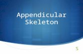Appendicular Skeleton. The Pectoral (Shoulder) Girdle  Composed of 2 bones  Clavicle – collarbone  Scapula – shoulder blade  These bones allow the.