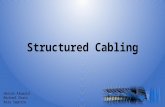 Structured Cabling Hassan Alowaid Michael Chaix Reza Saputra.