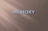 How does memory affect your identity?  If you didn’t have a memory how would your answer the question – How are you today?