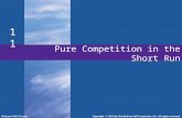 Pure Competition in the Short Run 11 McGraw-Hill/IrwinCopyright © 2012 by The McGraw-Hill Companies, Inc. All rights reserved.