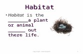 1 Habitat Habitat is the _______a plant or animal ______ out there life. Habitat is the _______a plant or animal ______ out there life. copyright cmassengale.