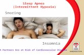 Insomnia Snoring Sleep Apnea (Intermittent Hypoxia) Both Partners Are at Risk of Cardiovascular Disease.