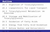 Outline 24.1 Digestion of Triacylglycerols 24.2Lipoproteins for Lipid Transport 24.3Triacylglycerol Metabolism: An Overview 24.4Storage and Mobilization.
