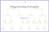 Programming Principles Chapter 1. Objectives Discuss the program design process. Introduce the Game of Life. Discuss object oriented design. – Information.