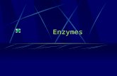 Enzymes Most enzymes are globular proteins Active site: the region of an enzyme surface to which a specific set of substrates binds. Substrate: ( the.