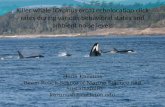 Killer whale (Orcinus orca) echolocation click rates during various behavioral states and ambient noise levels Hana Kazunas Beam Reach School of Marine.
