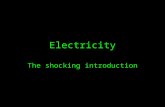 Electricity The shocking introduction. Electrical charges Everything in the universe is made up of atoms Those atoms are made up of subatomic particles.