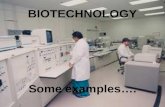 BIOTECHNOLOGY Some examples….. Recombinant DNA Transgenic Animals Transgenic goat's milk offers hope for tackling children's intestinal disease It's.