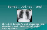 Bones, Joints, and Muscles 10.1.6.B Identify and describe the structure and function of major body systems.