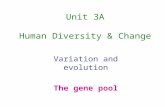 Unit 3A Human Diversity & Change Variation and evolution The gene pool.