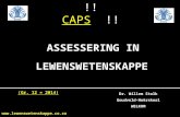 ASSESSERING IN Dr. Willem Stolk Goudveld-Hoërskool WELKOM !! CAPS !!  (Gr. 12 = 2014)