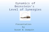 Dynamics of Bernstein’s Level of Synergies Presentation by Susan & Joaquin.