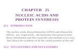 CHAPTER 25 NUCLEIC ACIDS AND PROTEIN SYNTHESIS 25.1 INTRODUCTION The nucleic acids, deoxyribonucleic (DNA) and ribonucleic (RNA), are, respectively, the.