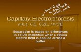 Capillary Electrophoresis Capillary Electrophoresis a.k.a. CE, CZE, HPCE Capillary Electrophoresis Separation is based on differences in solute mobilities.