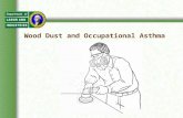 Wood Dust and Occupational Asthma. Special Thanks This overview was adapted from “Wood Dust and Occupational Asthma” a booklet developed by the Occupational.