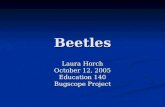 Beetles Laura Horch October 12, 2005 Education 140 Bugscope Project.