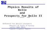 1 Physics Results of Belle and Prospects for Belle II Y.Sakai KEK Reference for physics prospects Physics at Super B Factory [arXiv:1002.5012] SuperB Progress.