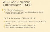 WP4: Garlic sulphur biochemistry (P2,P3) zP2: HRI Wellesbourne yBrian Thomas, Lol Trueman, Linda Brown, Brian Smith, Gareth Griffiths zP3: The University.
