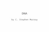 DNA by C. Stephen Murray. All life stores its genetic code in a molecule called DNA.