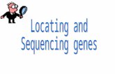 Background Genetic disorders are often the result of gene mutations. People with a mutant allele often have a family history of the disease. It is important.