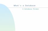 What's a Database A Database Primer Let’s discuss databases n Why they are hard n Why we need them.