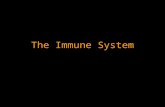 The Immune System. Function The immune system functions to provide protection from disease causing agents in the one’s environment Pathogens include viruses,