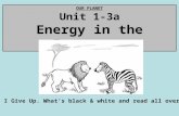 OUR PLANET Unit 1-3a Energy in the Ecosystem I Give Up. What’s black & white and read all over?