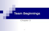 3-1 Team Beginnings Chapter 3. 3-2 Stages of Teamwork Group Development Perspective.