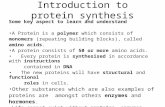 Introduction to protein synthesis Some key aspect to learn and understand A Protein is a polymer which consists of monomers (repeating building blocks),