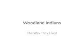 Woodland Indians The Way They Lived. Clothing The clothing was usually made out of mammal, bird, fish skins, pelts, or hides. The skins were then tanned.