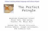 The Perfect Pringle Woodside Elementary School River Vale, New Jersey Teacher: Ms. Meryl Wolf Hannah Ahn, Nicole Criscuolo, Anthony DeWitt, Joseph Jasionowski,