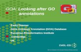 EBI is an Outstation of the European Molecular Biology Laboratory. GOA: Looking after GO annotations Emily Dimmer Gene Ontology Annotation (GOA) Database.