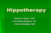 Hippotherapy ~ Sharon Caston, SLP ~ Ana Maria Espana, OT ~ Carrie Ramella, SLP.