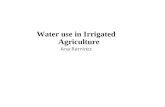 Water use in Irrigated Agriculture Ana Ramirez. Irrigated agriculture produces 40% of the food crops uses 70% of all water withdrawals (Huffaker 2003)