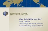 Internet Safety Stay Safe While You Surf Shari Galgano Technology Resource Teacher Caesar Rodney School District.