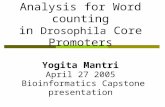 Statistical Analysis for Word counting in Drosophila Core Promoters Yogita Mantri April 27 2005 Bioinformatics Capstone presentation.