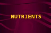 NUTRIENTS. CARBOHYDRATES Body’s main source of energy Sugars, starches, grains, rice, pastas, and fiber are examples of carbohydrates 60% of your diet.