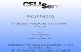 Karyotyping A CellServ PowerPoint Instructional Program by Mark S. Nardone & Roland M. Nardone, Ph.D. Foundation for Advanced Education in the Sciences,