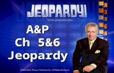 A&P Ch 5&6 Jeopardy The Rules: Give each answer in the form of a questionGive each answer in the form of a question Click the answer button in the lower.