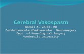 Dennis A. Velez, MD Cerebrovascular/Endovascular Neurosurgery Dept. of Neurological Surgery Vanderbilt University.