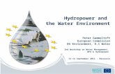 Hydropower and the Water Environment Peter Gammeltoft European Commission DG Environment, D.1 Water 2nd Workshop on Water Management, WFD & Hydropower.