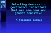 Selecting democratic governance indicators that are pro-poor and gender sensitive A training module.